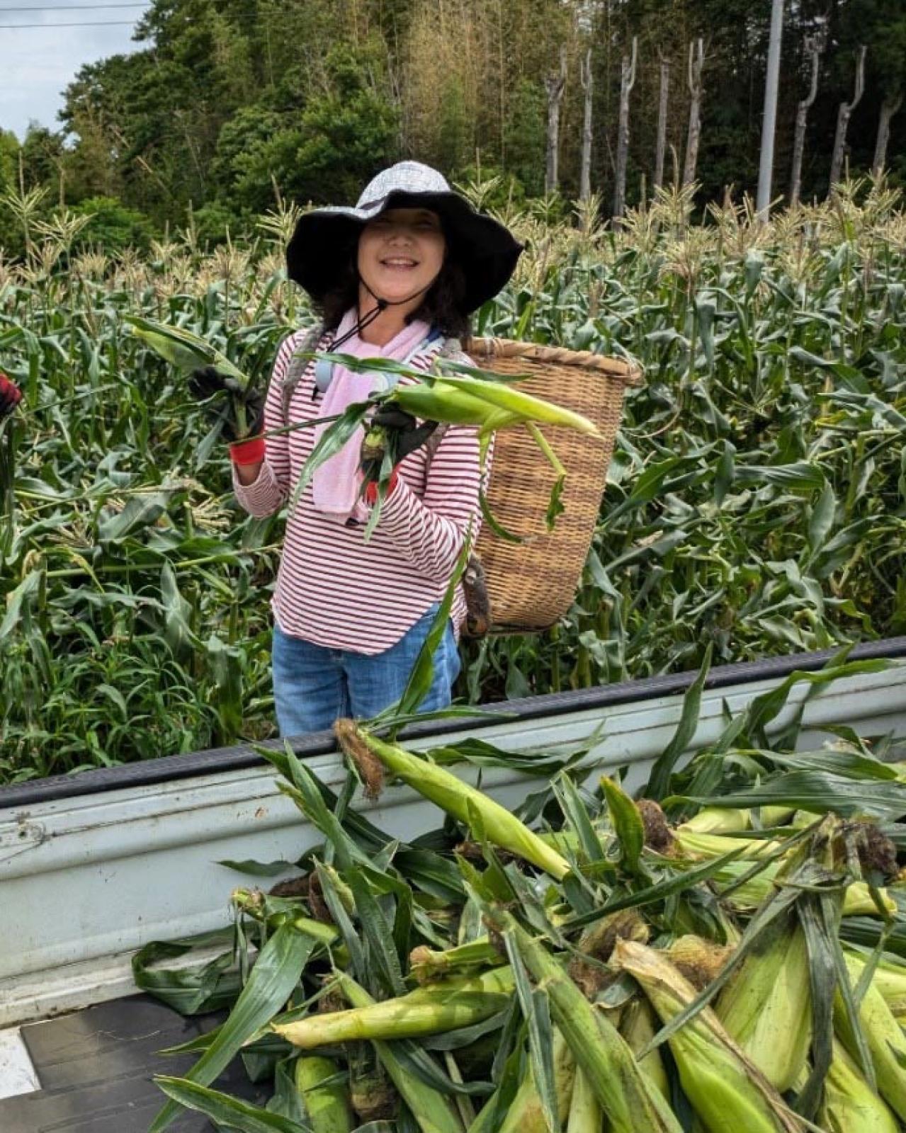 普通のパート主婦がなぜ！？50代後半で野菜の委託販売を始めるまでの道のりとは？【50代の仕事始め＃2前編】（画像4）