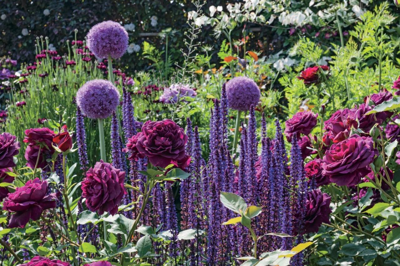 春の花旅【ローズガーデン】3選。咲き誇るバラを満喫できるプラン（画像8）