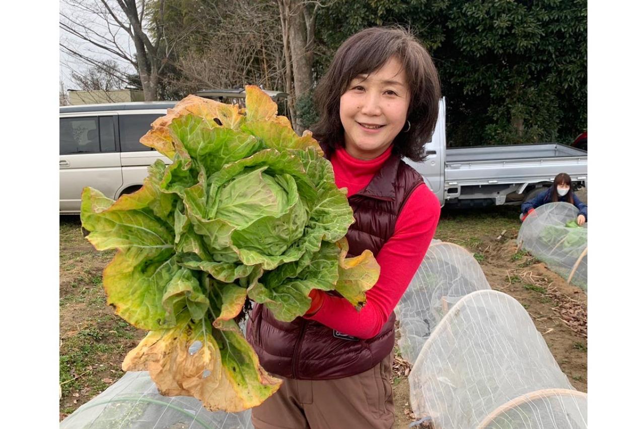 普通のパート主婦がなぜ！？50代後半で野菜の委託販売を始めるまでの道のりとは？【50代の仕事始め＃2前編】