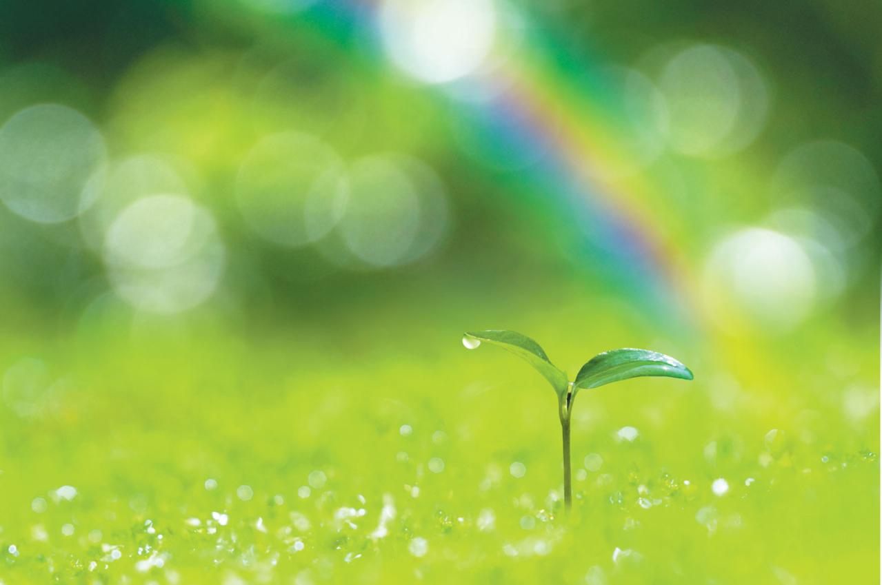 「経済的に恵まれている人や夫婦仲のいい人を見ると、落ち込みます…」周りと比べずに生きるコツは？ 人気心理カウンセラー・根本裕幸さんが回答（画像4）