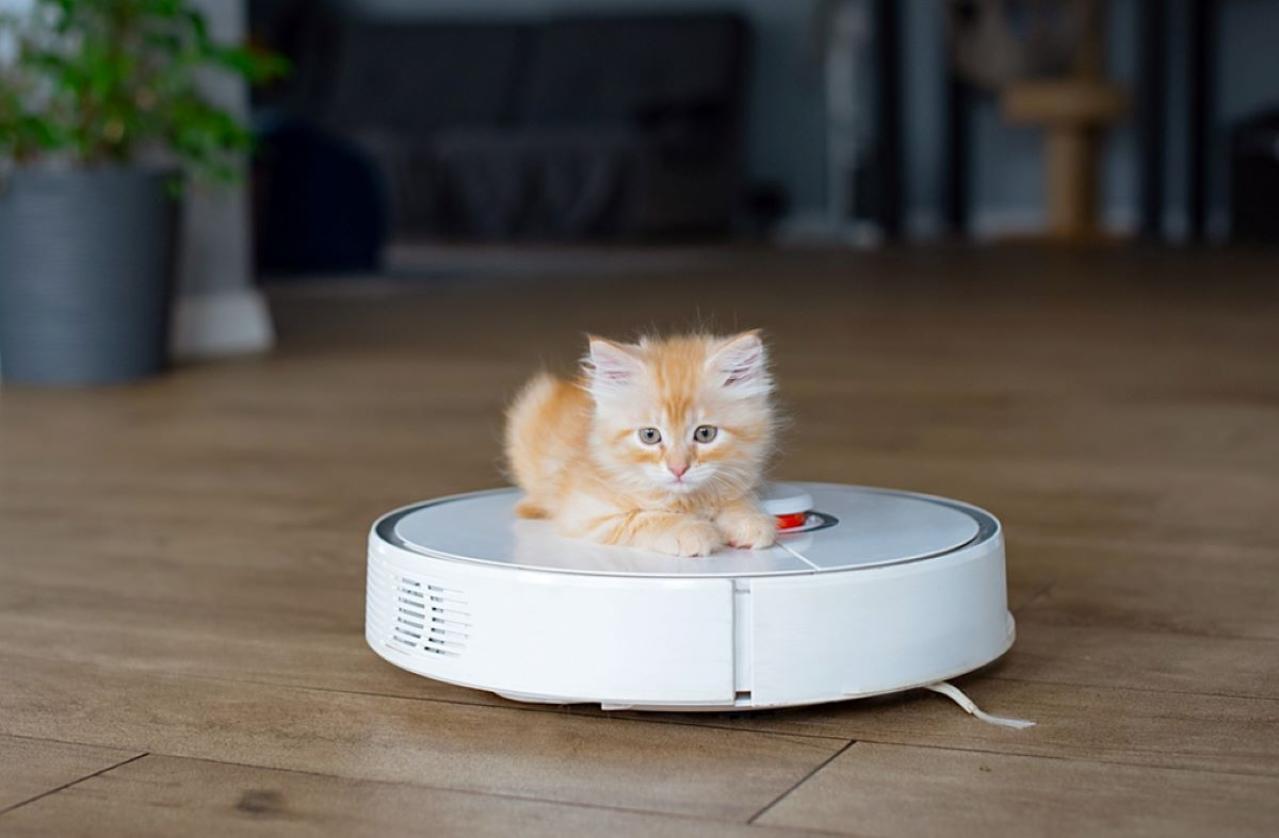 1位は…「軽くて片手で使えて最高！」買って良かった【掃除機ランキング】50代以上女性100名の本音