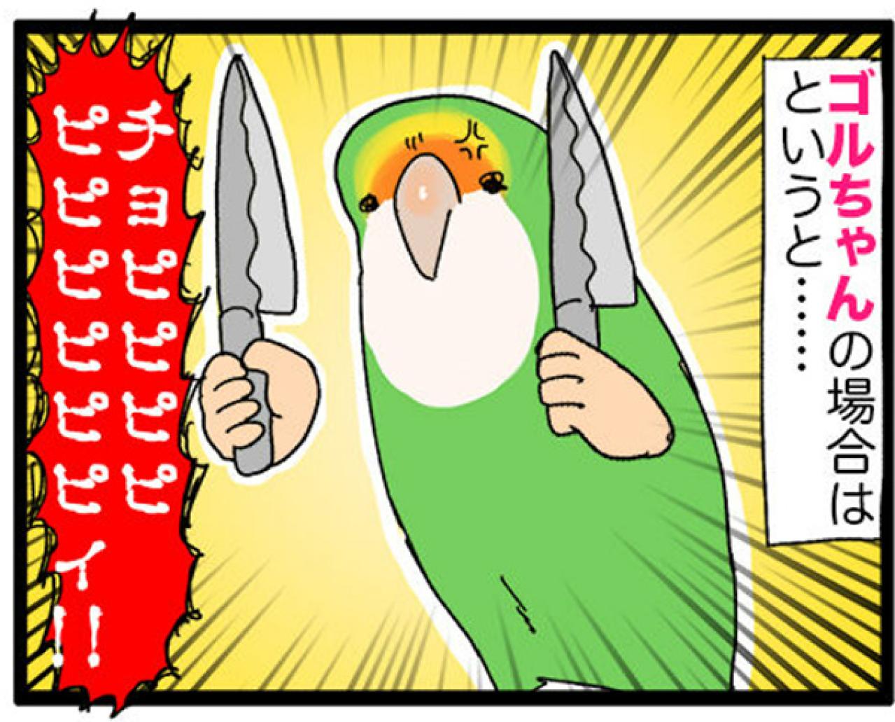 【鳥マンガ＃18】飼い主に一途すぎるインコの困りごと／ゴルちゃんの盗撮に成功！そのときの姿勢がすごい（画像6）