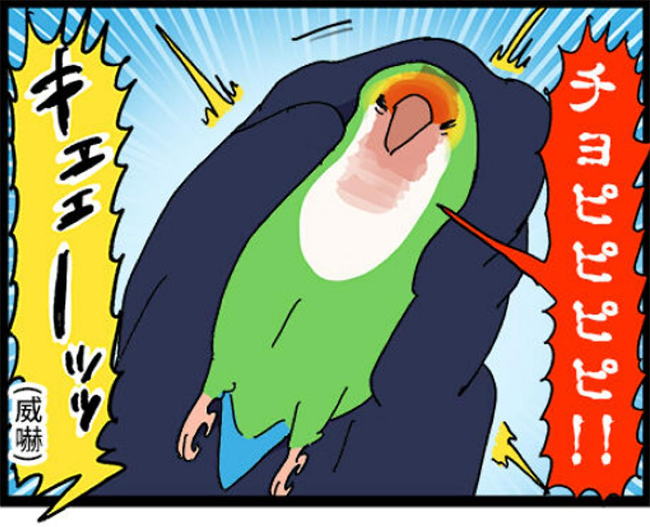 【鳥マンガ＃21】洋服の中に入るかわいいゴルちゃんの顛末／ペットを飼うとやたら不安になること（画像10）