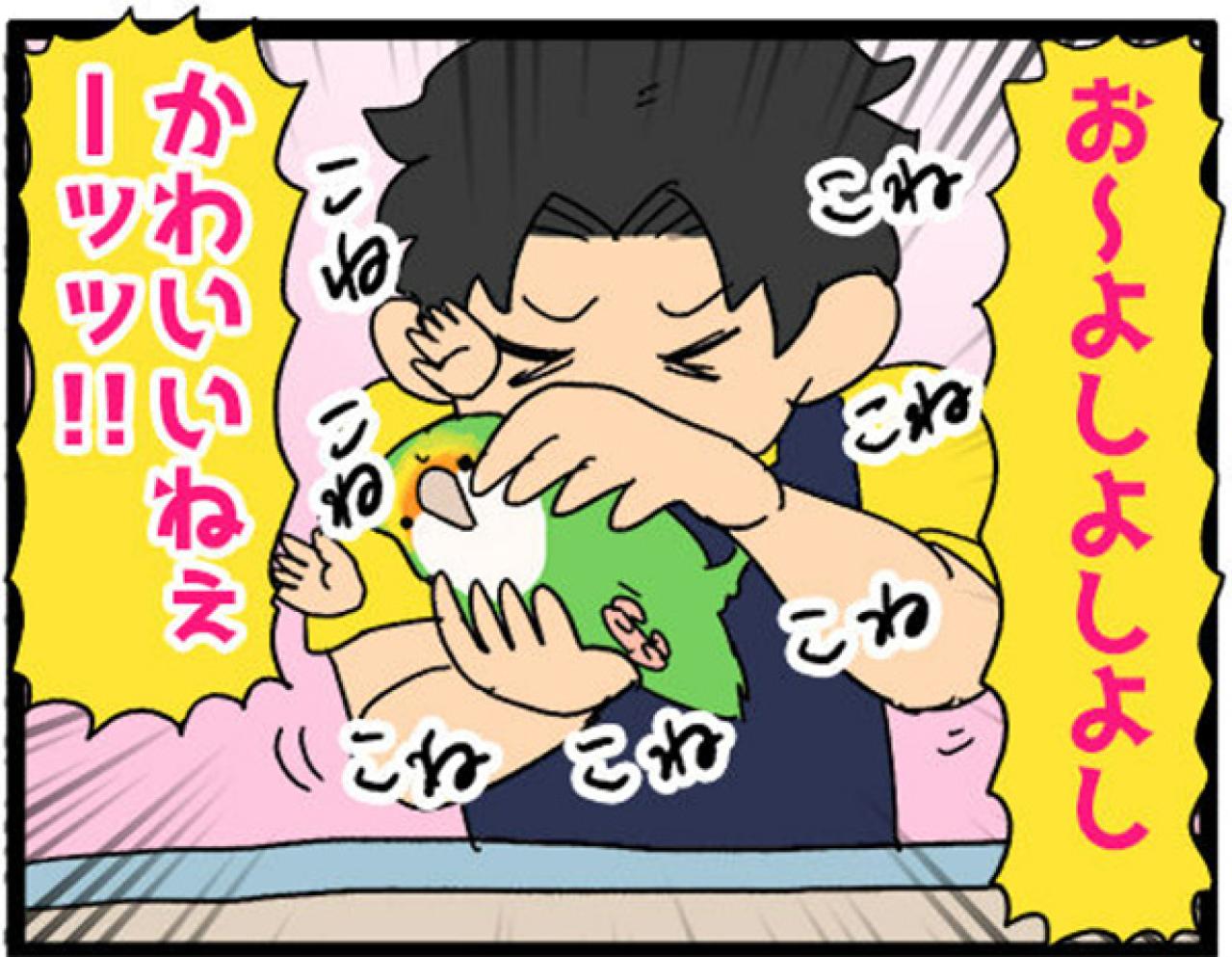 【鳥マンガ＃19】凶暴なゴルちゃんを一瞬で無力化した店長のワザが見事だった！（画像4）