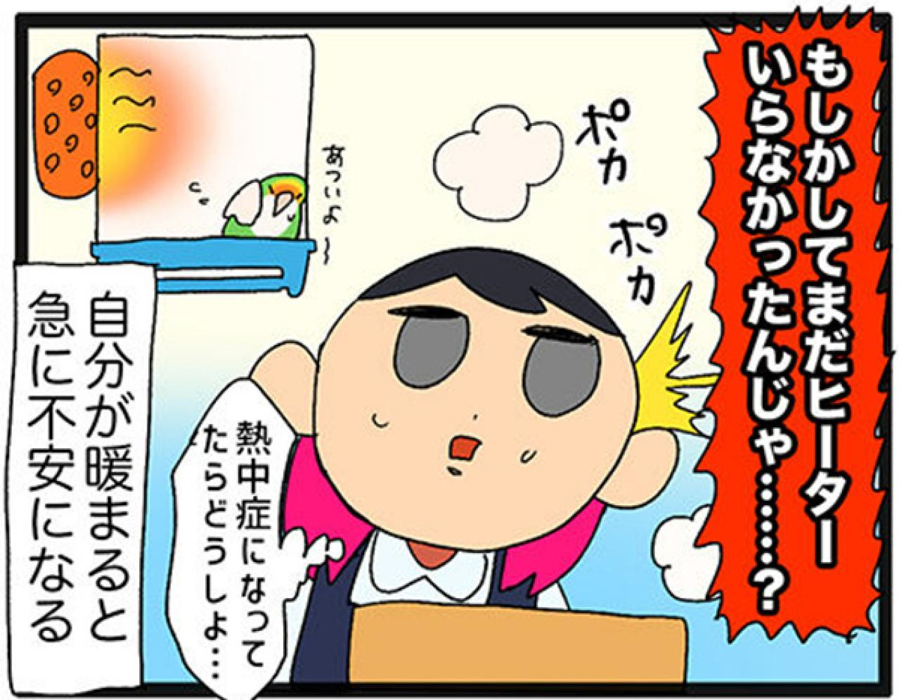 【鳥マンガ＃21】洋服の中に入るかわいいゴルちゃんの顛末／ペットを飼うとやたら不安になること（画像13）