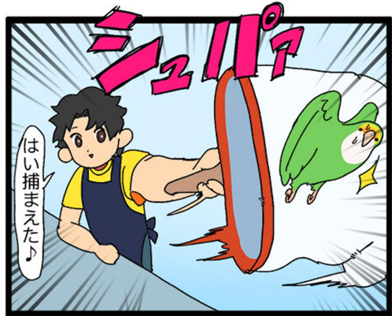 【鳥マンガ＃19】凶暴なゴルちゃんを一瞬で無力化した店長のワザが見事だった！（画像11）