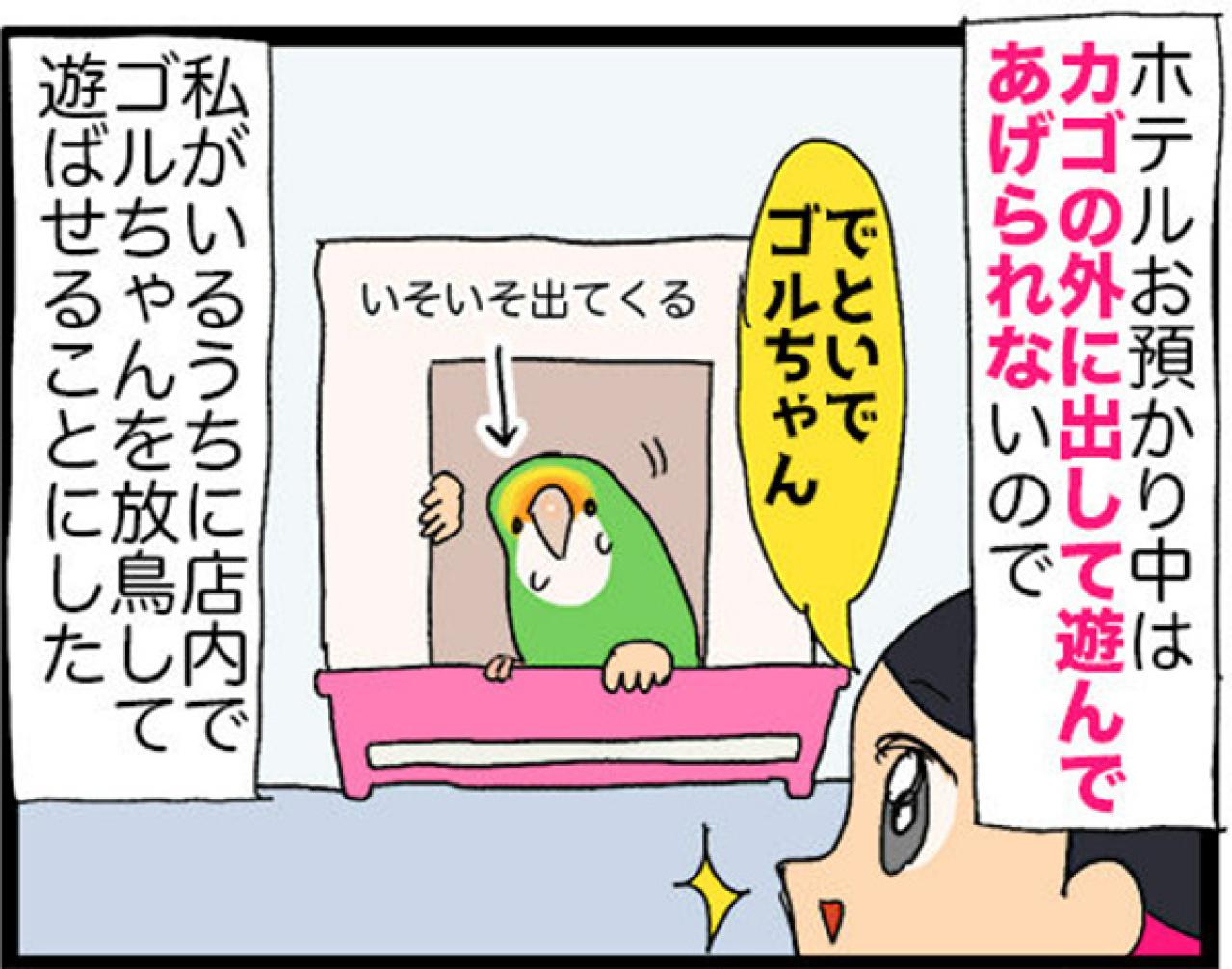 【鳥マンガ＃19】凶暴なゴルちゃんを一瞬で無力化した店長のワザが見事だった！（画像6）
