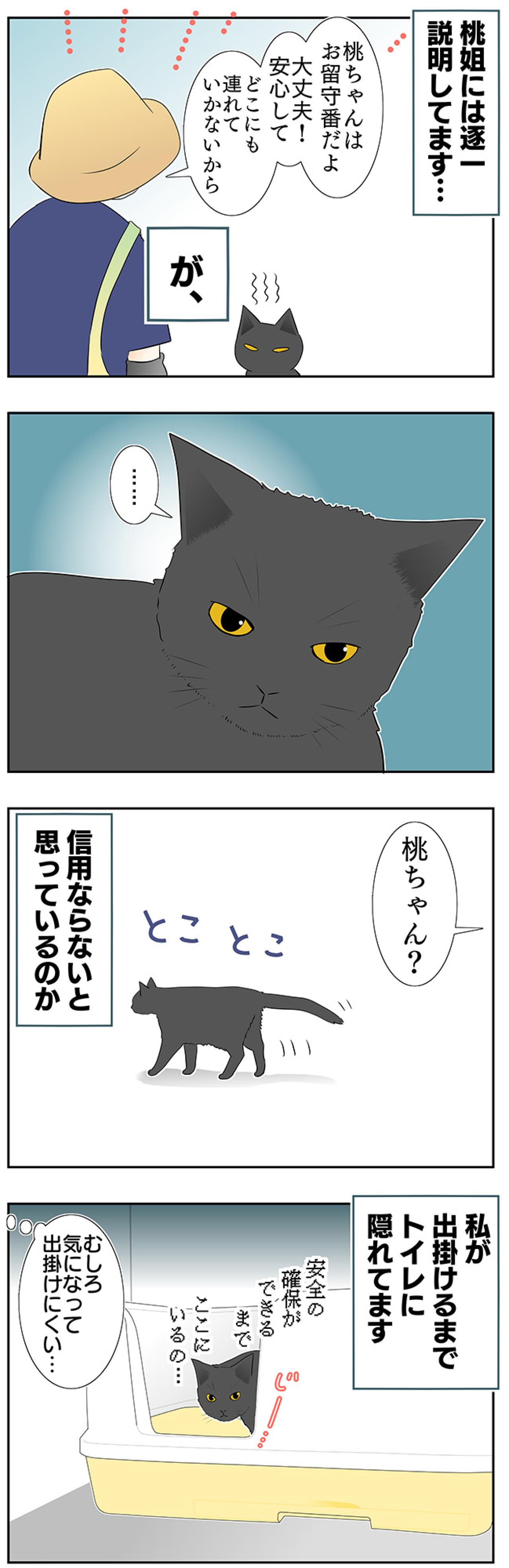 【老猫マンガ】老猫、安全を確保する？ 18歳の元保護猫・桃姐［＃17］（画像3）