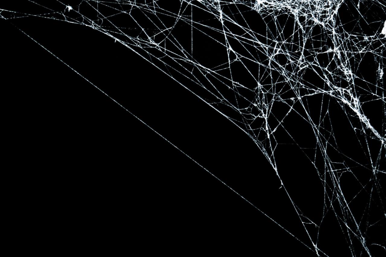 『蜘蛛の糸』を読む～芥川龍之介の名作が教える心の教訓