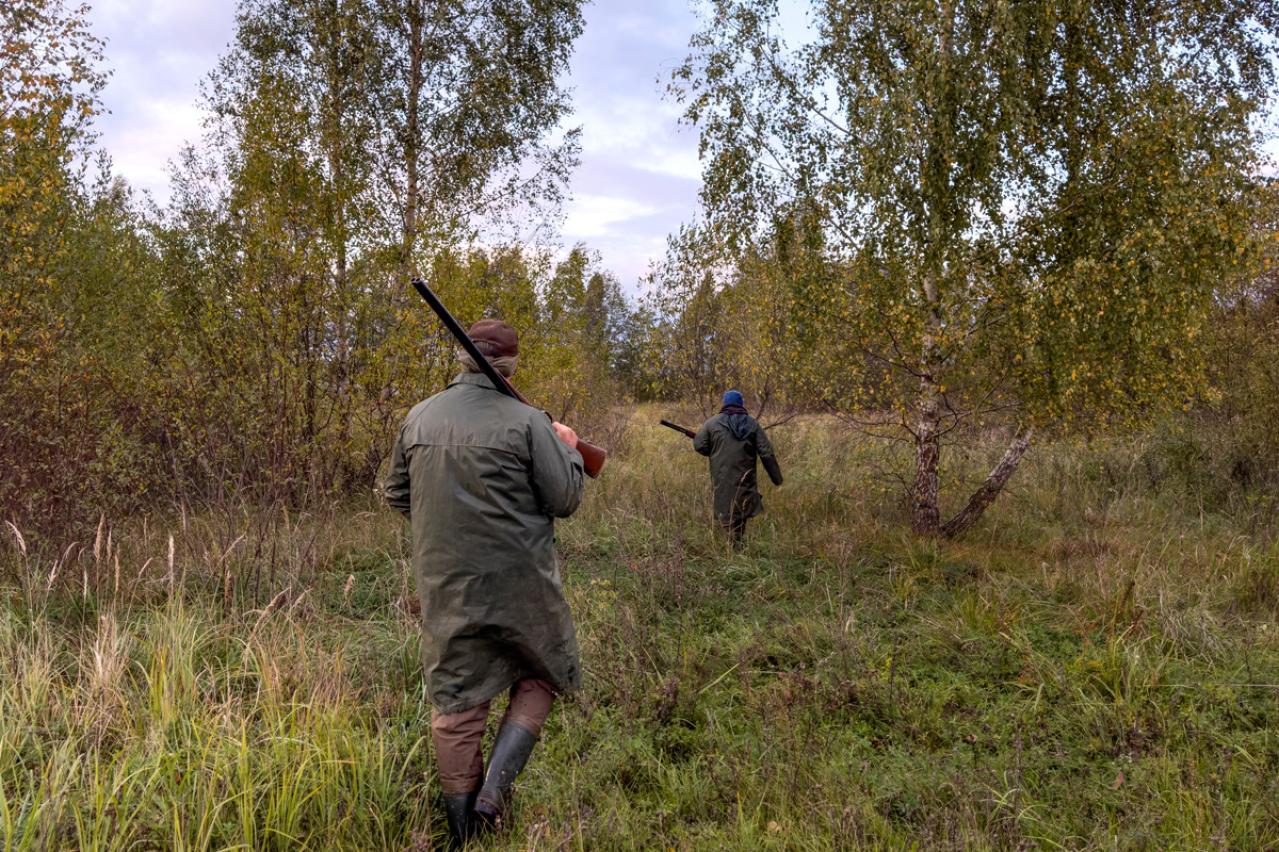 宮沢賢治『注文の多い料理店』：50代女性にも刺さる名作の魅力とは？