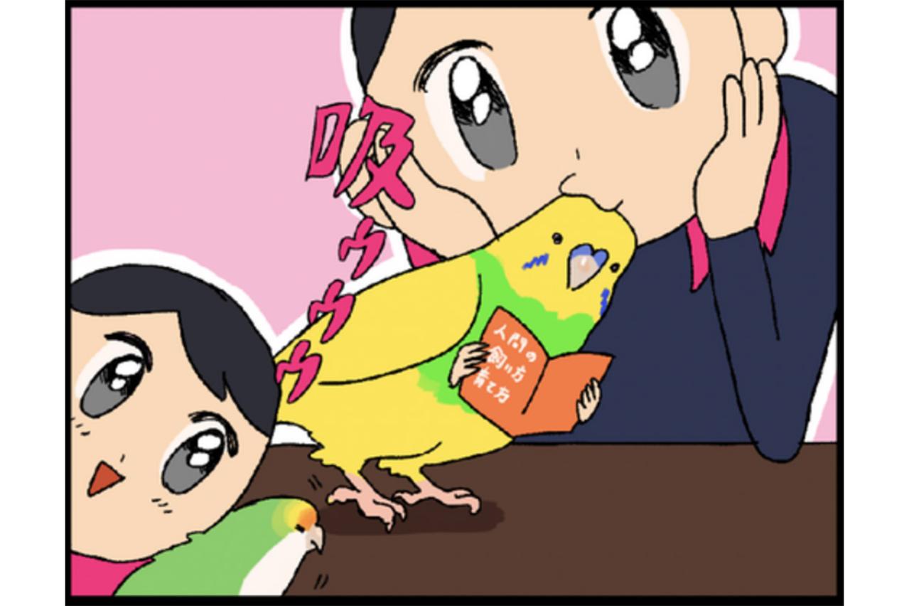 【鳥マンガ＃22】器用なゴルちゃんがアピールしながらしていたこととは？／飼い主あるある！幸せなインコ吸い