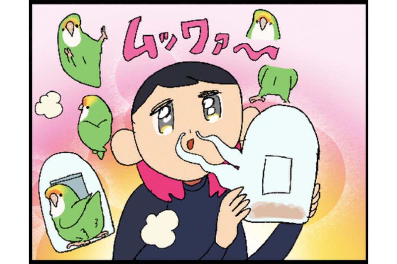 【鳥マンガ＃24】ふとしたときに感じる、幸せの香りインコ臭！／寝坊してごめんね、ゴルちゃん