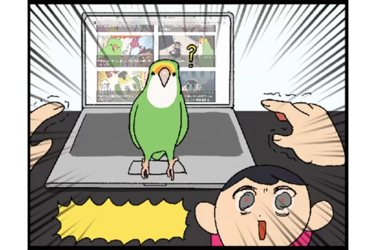 鳥マンガ＃23】インコの愛情表現はどんなの？／PCを不法占拠する
