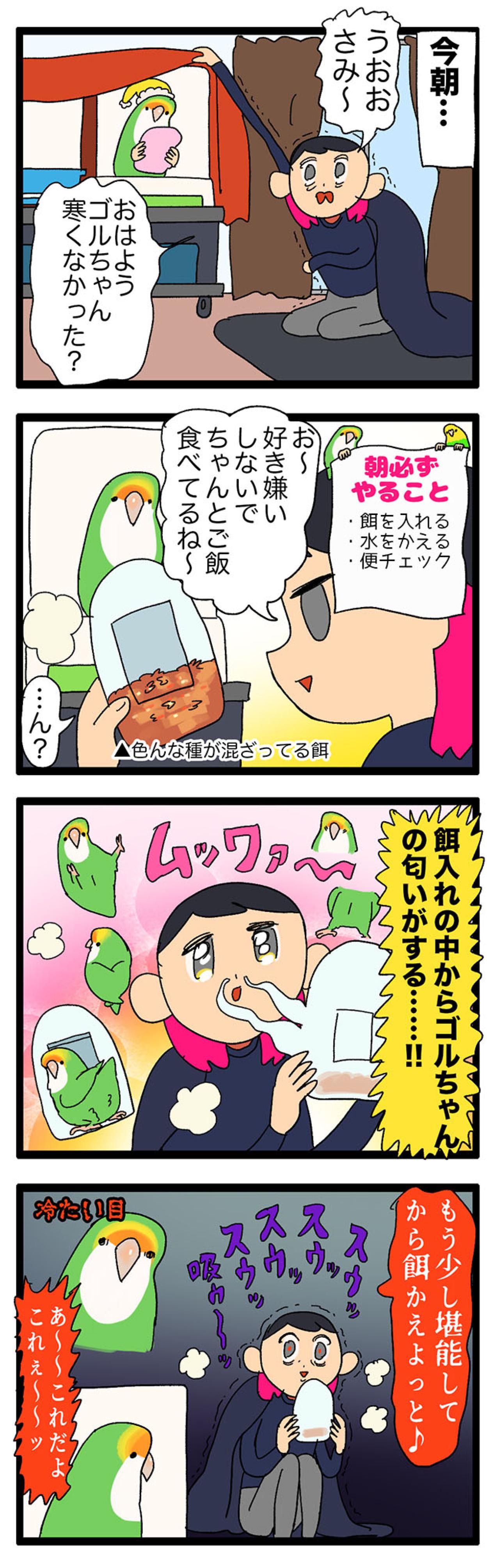 【鳥マンガ＃24】ふとしたときに感じる、幸せの香りインコ臭！／寝坊してごめんね、ゴルちゃん（画像3）