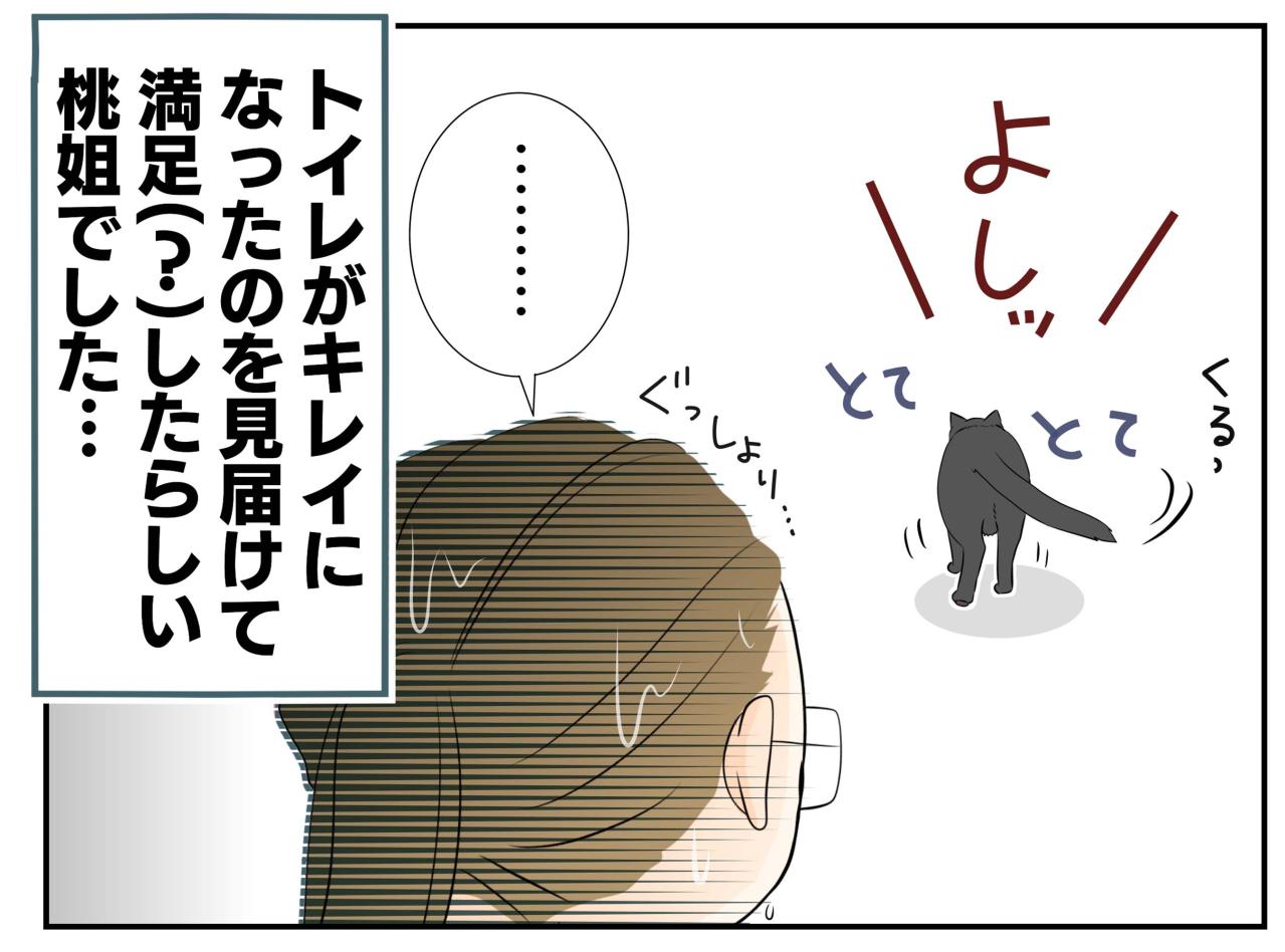 【老猫マンガ】老猫、異様なまでに急かす…18歳の元保護猫・桃姐［＃19］（画像5）