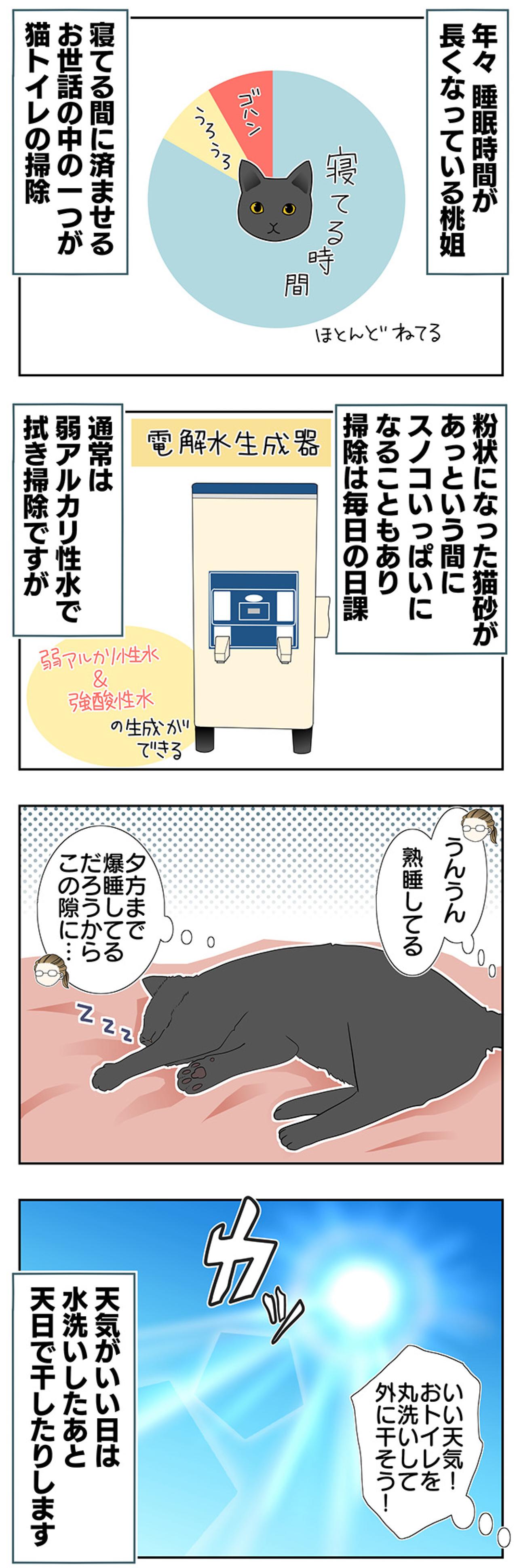 【老猫マンガ】老猫、異様なまでに急かす…18歳の元保護猫・桃姐［＃19］（画像2）