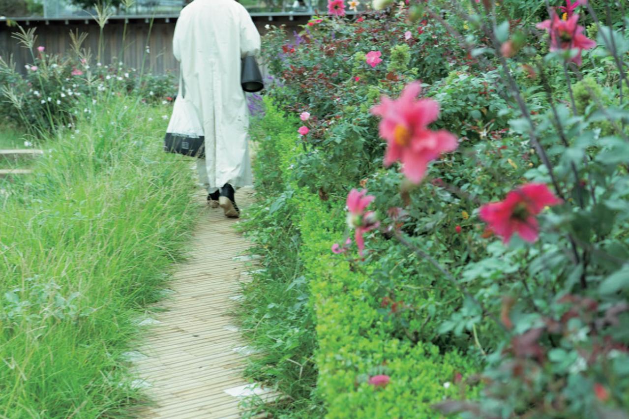 大磯から熱海【大人のひとり旅】どこへ行く？ 人気料理家の気ままな電車旅（画像6）