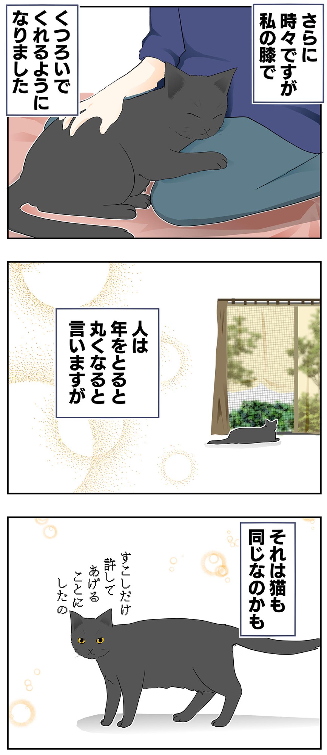 【老猫マンガ】猫も歳をとると丸くなる？ 18歳の元保護猫・桃姐［＃20］（画像4）