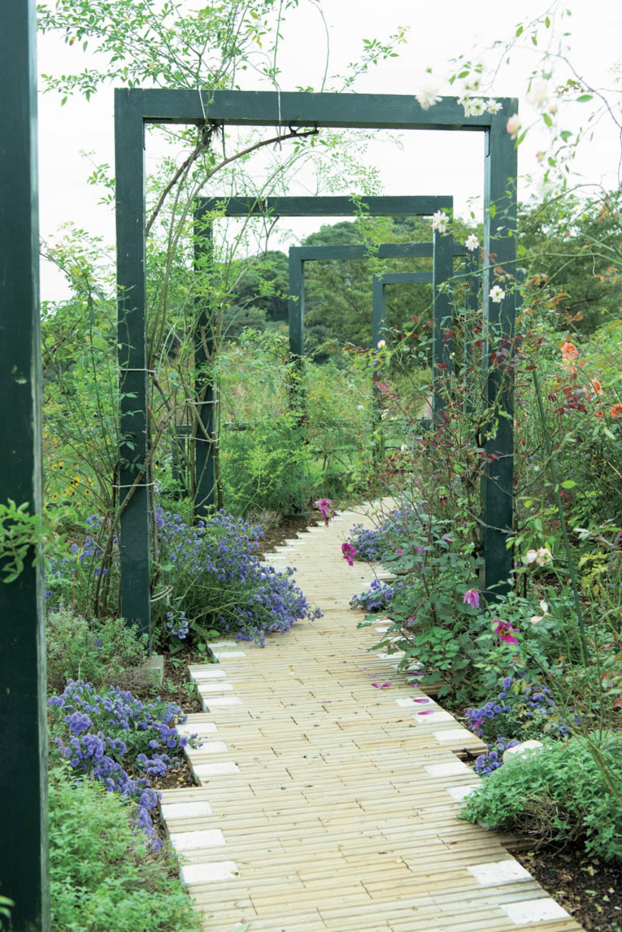 【大人のひとり旅・熱海編】日帰りでもリフレッシュできるのんびり電車旅（画像4）