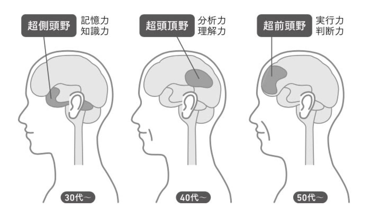 50代は脳のポテンシャルが目覚めるとき—今こそ学びの絶頂期　脳内科医 加藤俊徳先生が解説（画像2）