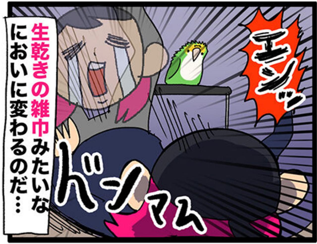 【鳥マンガ＃27】水浴びをしたときのインコ臭が…／女帝インコついにリンゴを召し上がる（画像7）