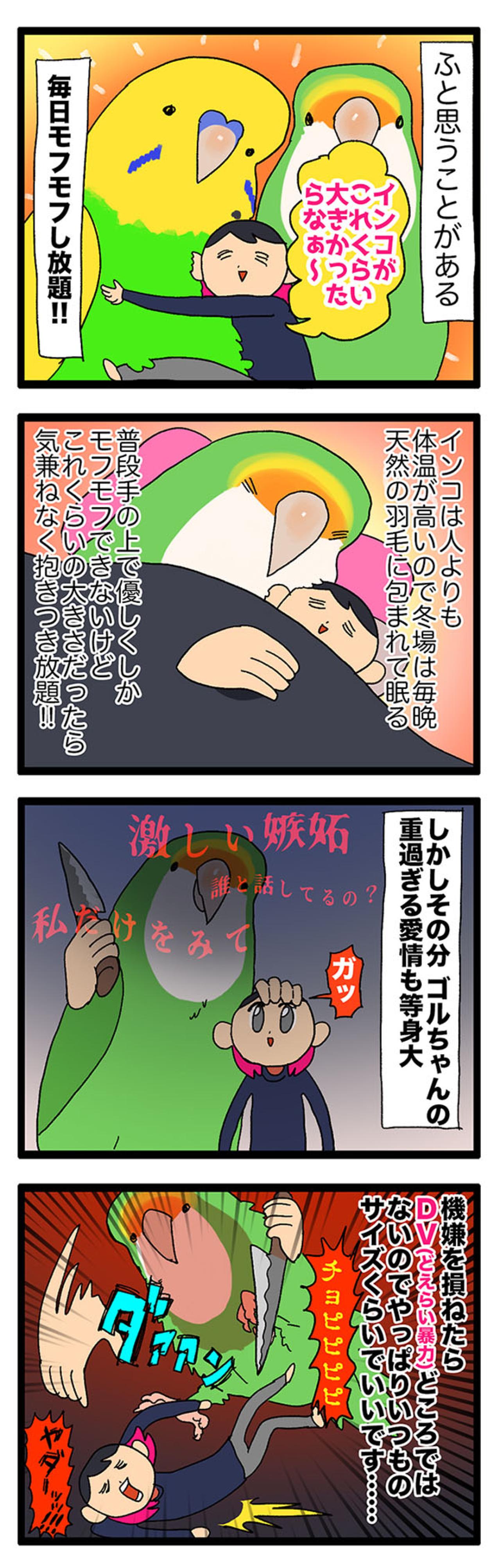 【鳥マンガ＃26】インコが人間より大きかったら妄想／共感！ペットの呼び方あるある（画像4）
