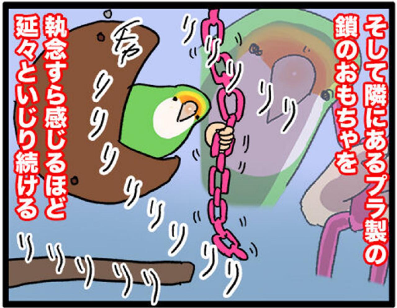 【鳥マンガ＃28】勇気を出してがんばったインコ／女帝インコの「尊（そん）」なところ（画像8）