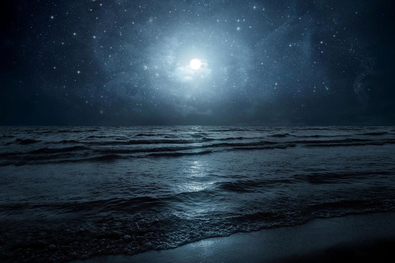 詩集『月に吠える』ー萩原朔太郎が描く孤独と感情の深淵