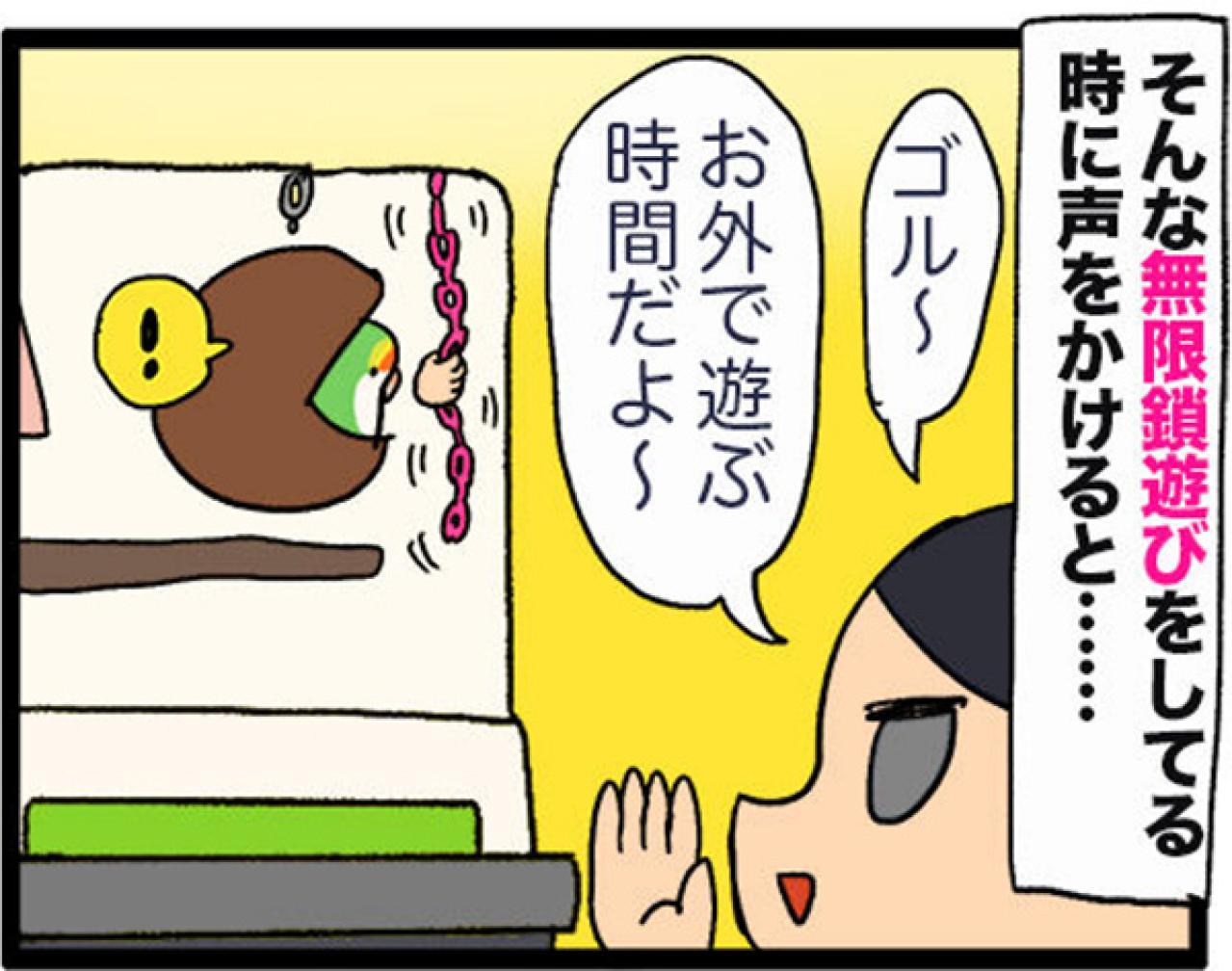 【鳥マンガ＃28】勇気を出してがんばったインコ／女帝インコの「尊（そん）」なところ（画像9）
