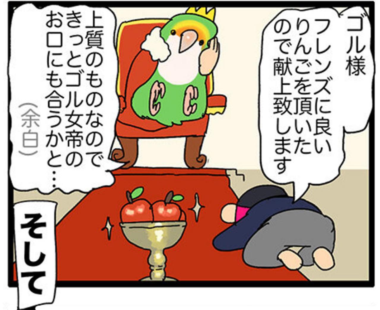 【鳥マンガ＃27】水浴びをしたときのインコ臭が…／女帝インコついにリンゴを召し上がる（画像12）