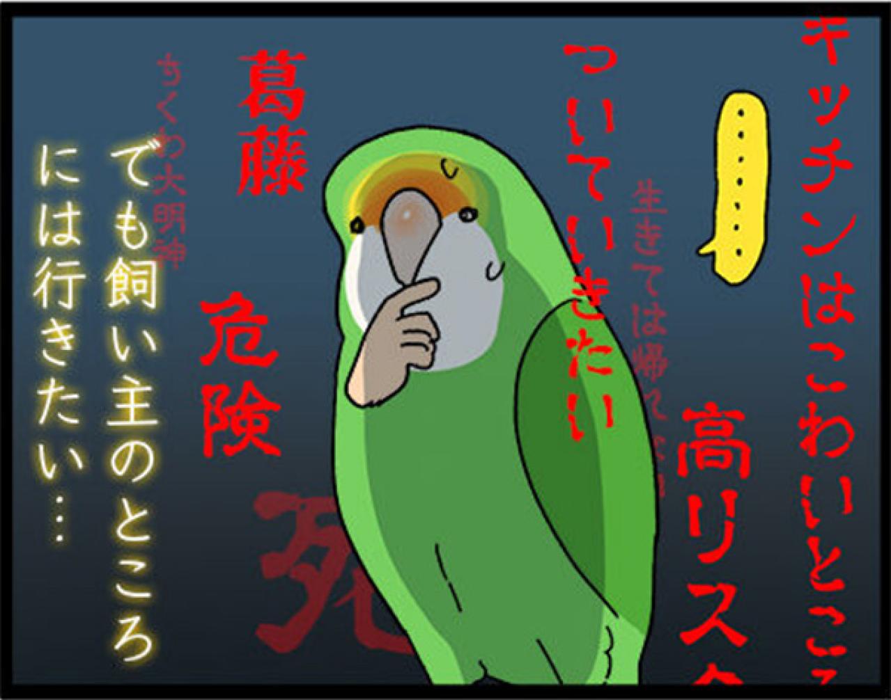 【鳥マンガ＃28】勇気を出してがんばったインコ／女帝インコの「尊（そん）」なところ（画像5）