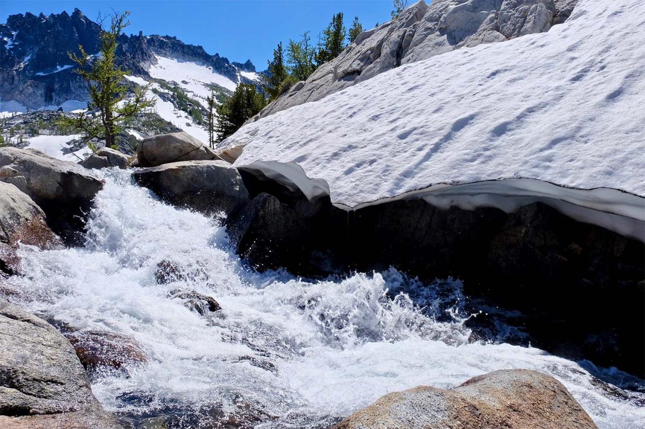 宮沢賢治の傑作『春と修羅』- 広がる詩の世界と感情の旅