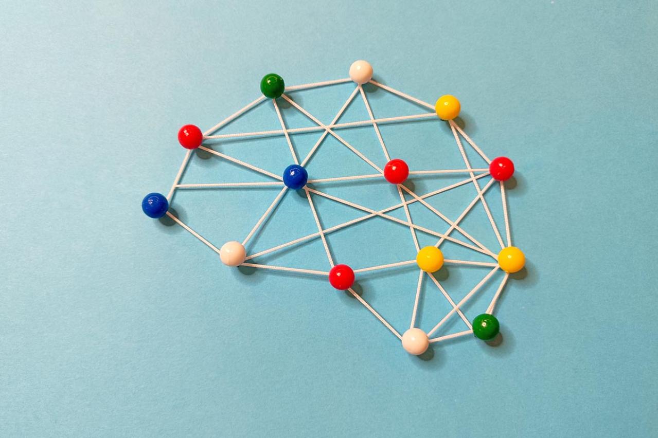 50代は脳のポテンシャルが目覚めるとき—今こそ学びの絶頂期　脳内科医 加藤俊徳先生が解説（画像3）