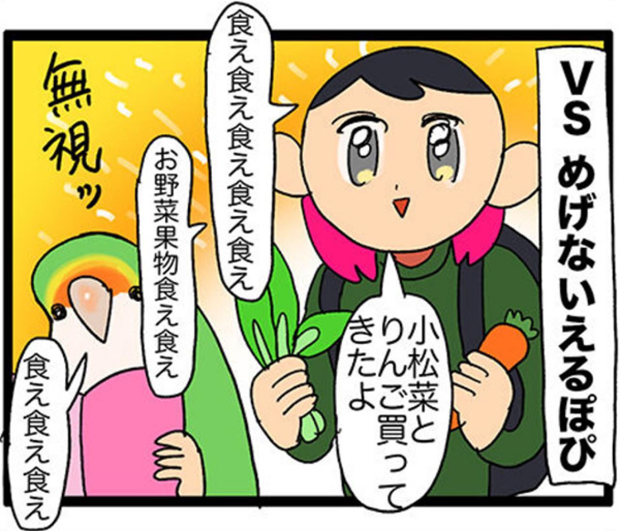 【鳥マンガ＃27】水浴びをしたときのインコ臭が…／女帝インコついにリンゴを召し上がる（画像9）