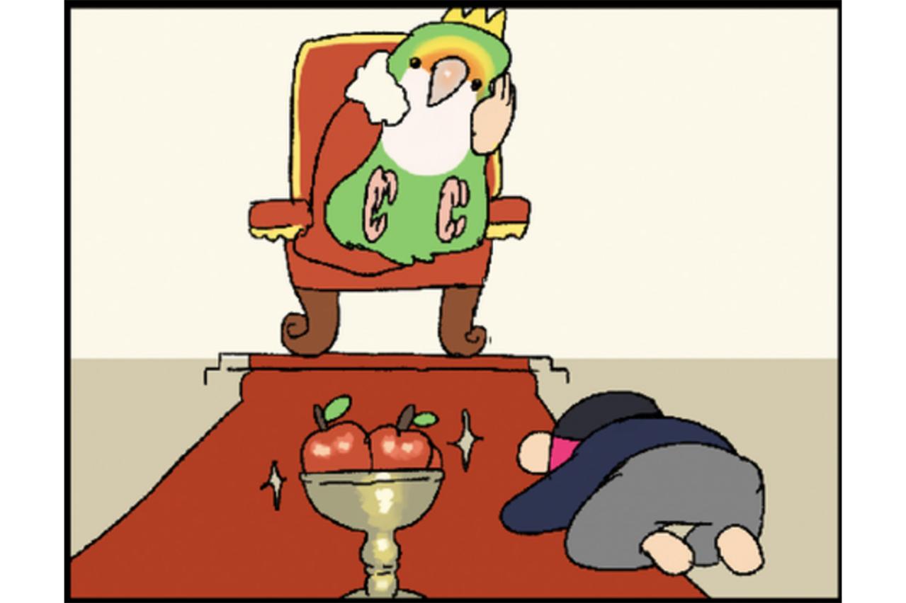 【鳥マンガ＃27】水浴びをしたときのインコ臭が…／女帝インコついにリンゴを召し上がる