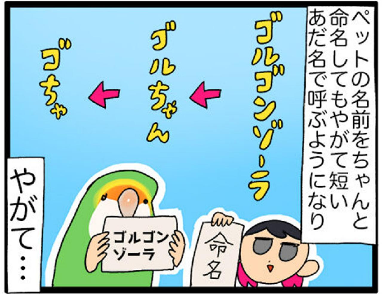 【鳥マンガ＃26】インコが人間より大きかったら妄想／共感！ペットの呼び方あるある（画像5）