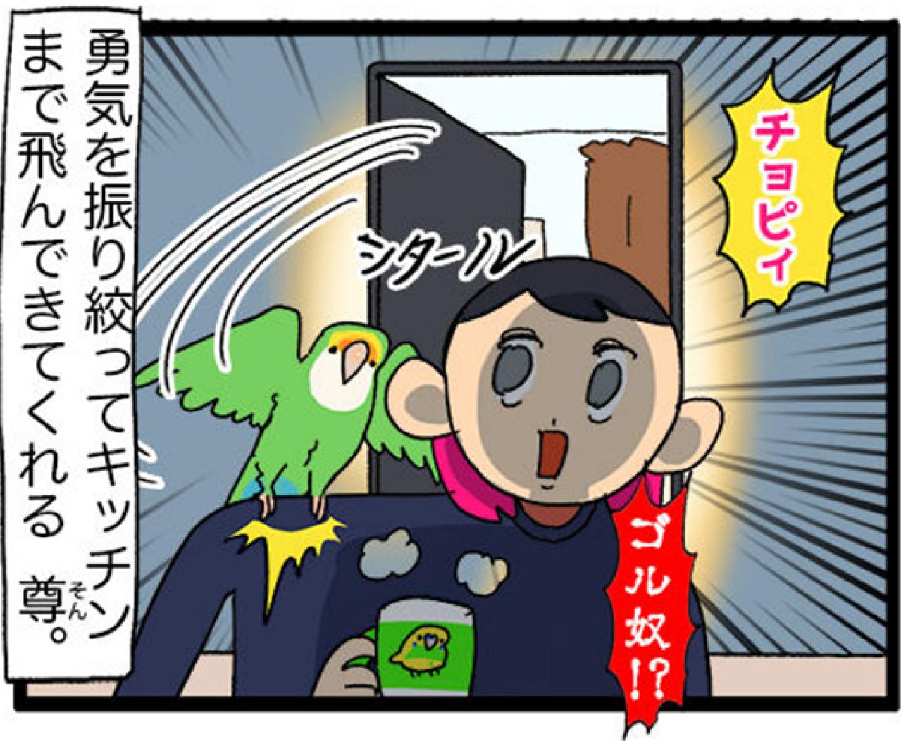 【鳥マンガ＃28】勇気を出してがんばったインコ／女帝インコの「尊（そん）」なところ（画像6）