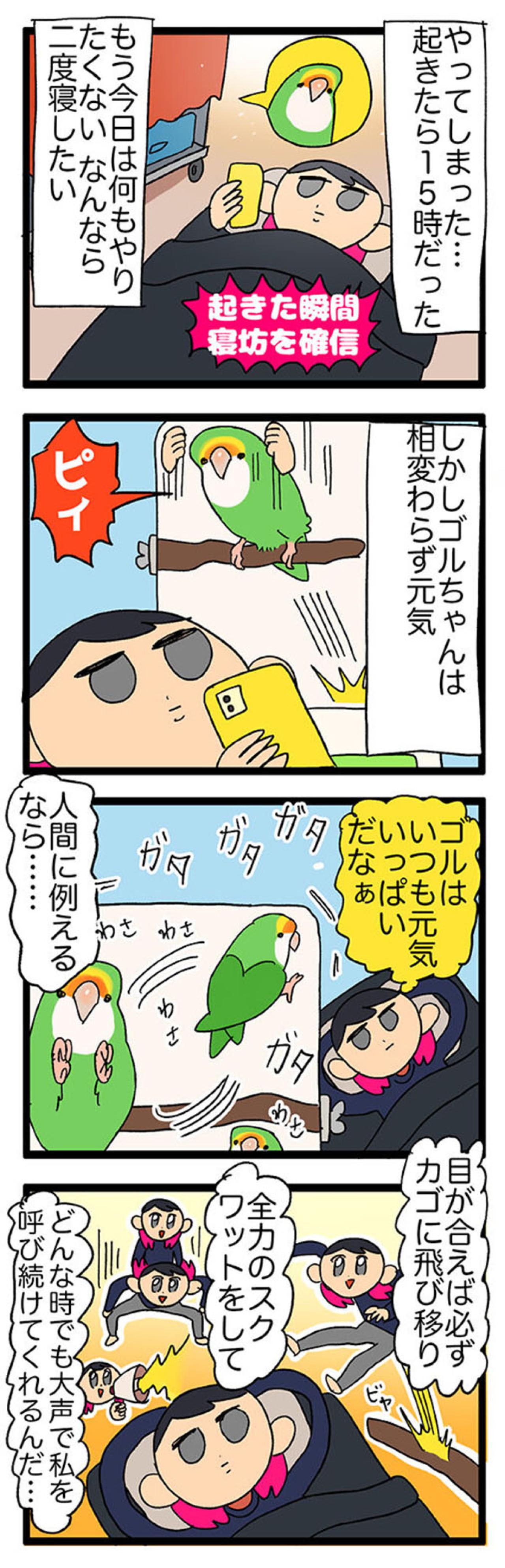 【鳥マンガ＃29】インコはいつでもパワフル／かわいいおしりを眺めていたら…（画像3）
