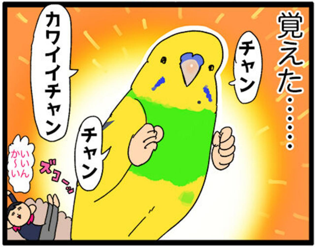 【鳥マンガ＃26】インコが人間より大きかったら妄想／共感！ペットの呼び方あるある（画像8）