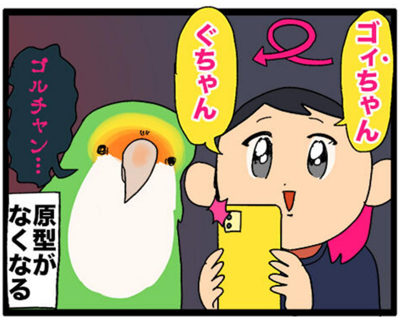 【鳥マンガ＃26】インコが人間より大きかったら妄想／共感！ペットの呼び方あるある（画像6）