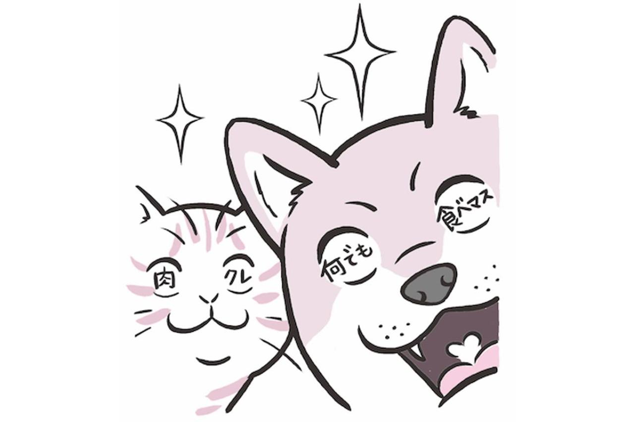 犬と猫、グルメなのはどっち？ 犬派・猫派バトルに動物学者が終止符！？