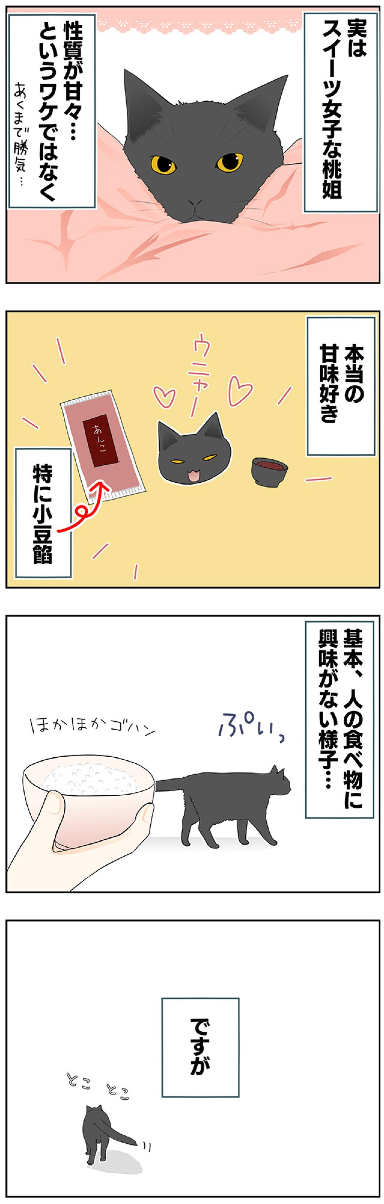 【マンガ・老猫日誌＃21】実はスイーツ女子な猫…19歳の元保護猫・桃姐（画像2）