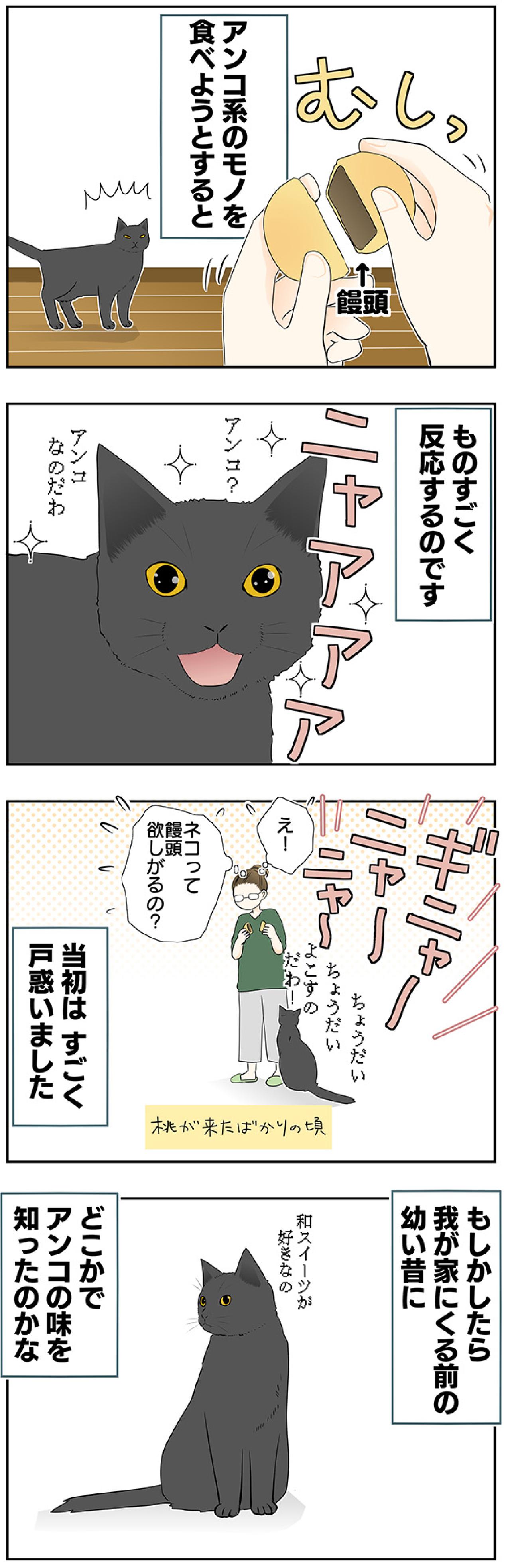 【マンガ・老猫日誌＃21】実はスイーツ女子な猫…19歳の元保護猫・桃姐（画像3）