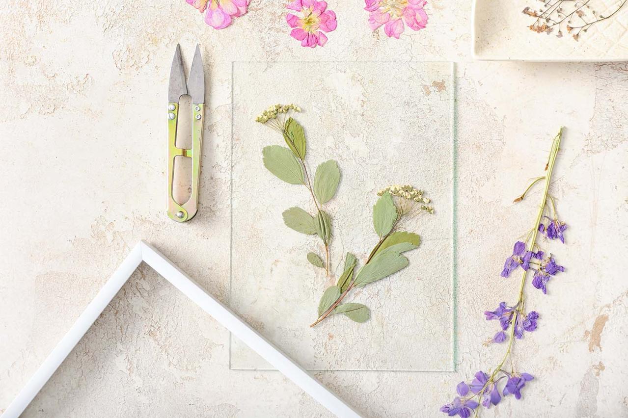 精神を病みながらも生きる希望を見出す『智恵子抄』高村光太郎の愛の物語