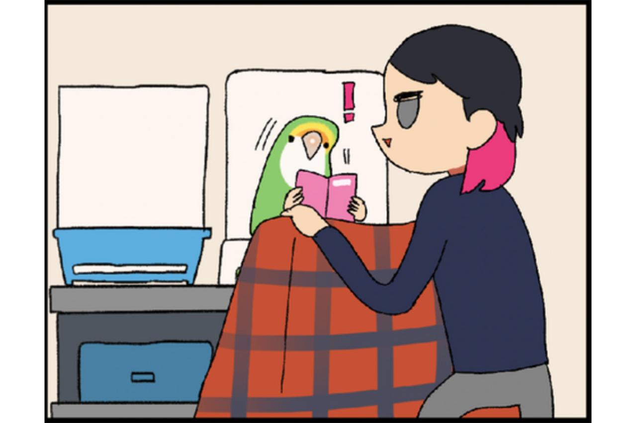 【鳥マンガ＃33】お尻をずっと眺めていたくて…／インコに「おやすみ」と言うと？