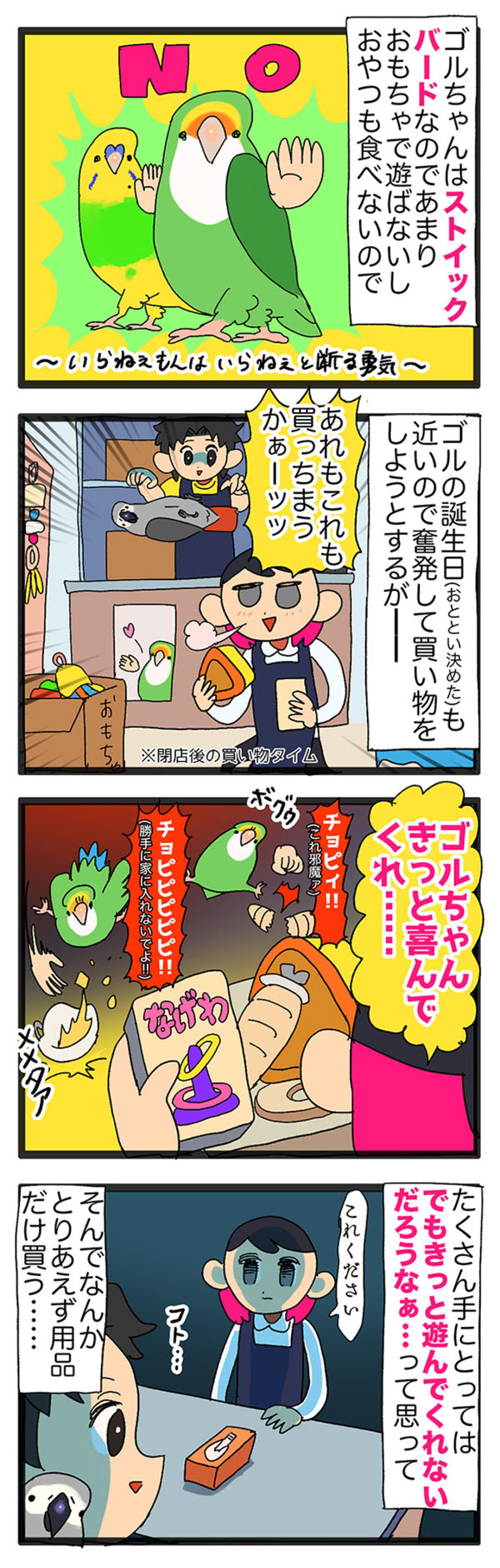 【鳥マンガ＃30】女帝インコ撫で撫でチャレンジ！／おもちゃを貢ぎたいのに…（画像4）