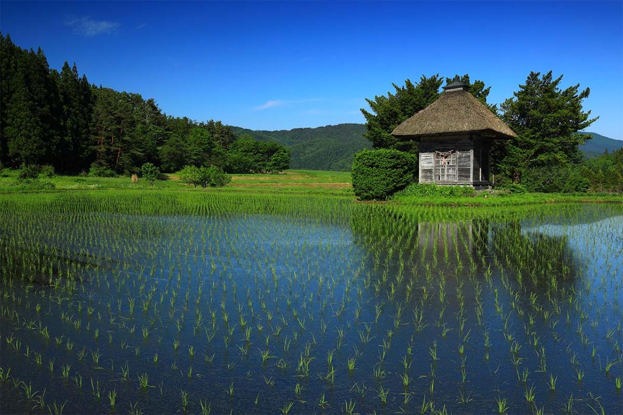 『遠野物語』柳田國男が描く幻想と伝承の世界とは？