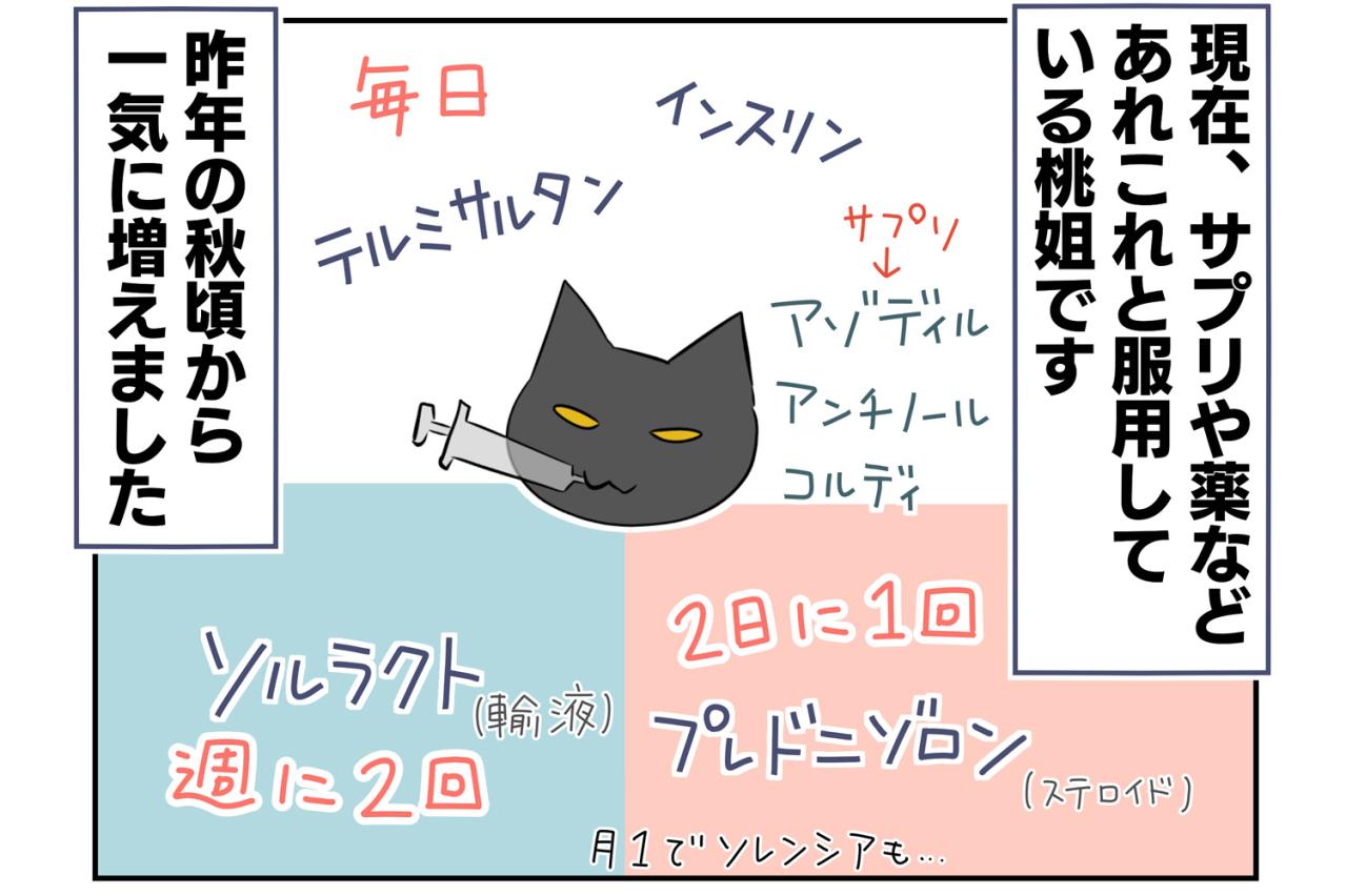 【老猫マンガ】猫、パワーワードで覚醒する？ 18歳の元保護猫・桃姐［＃22］