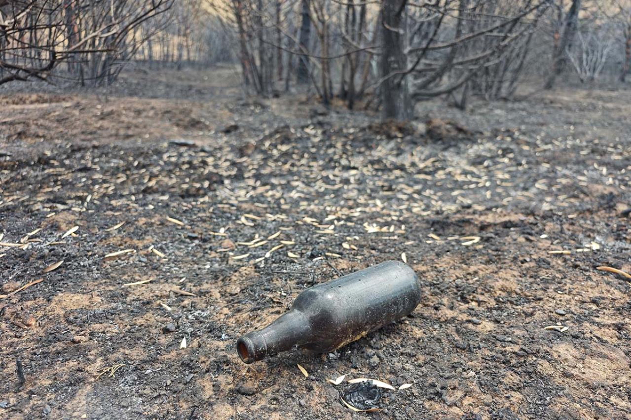 『瓶詰地獄』夢野久作が描く兄妹間の禁忌の感情――絶海の孤島から届く魂の叫び