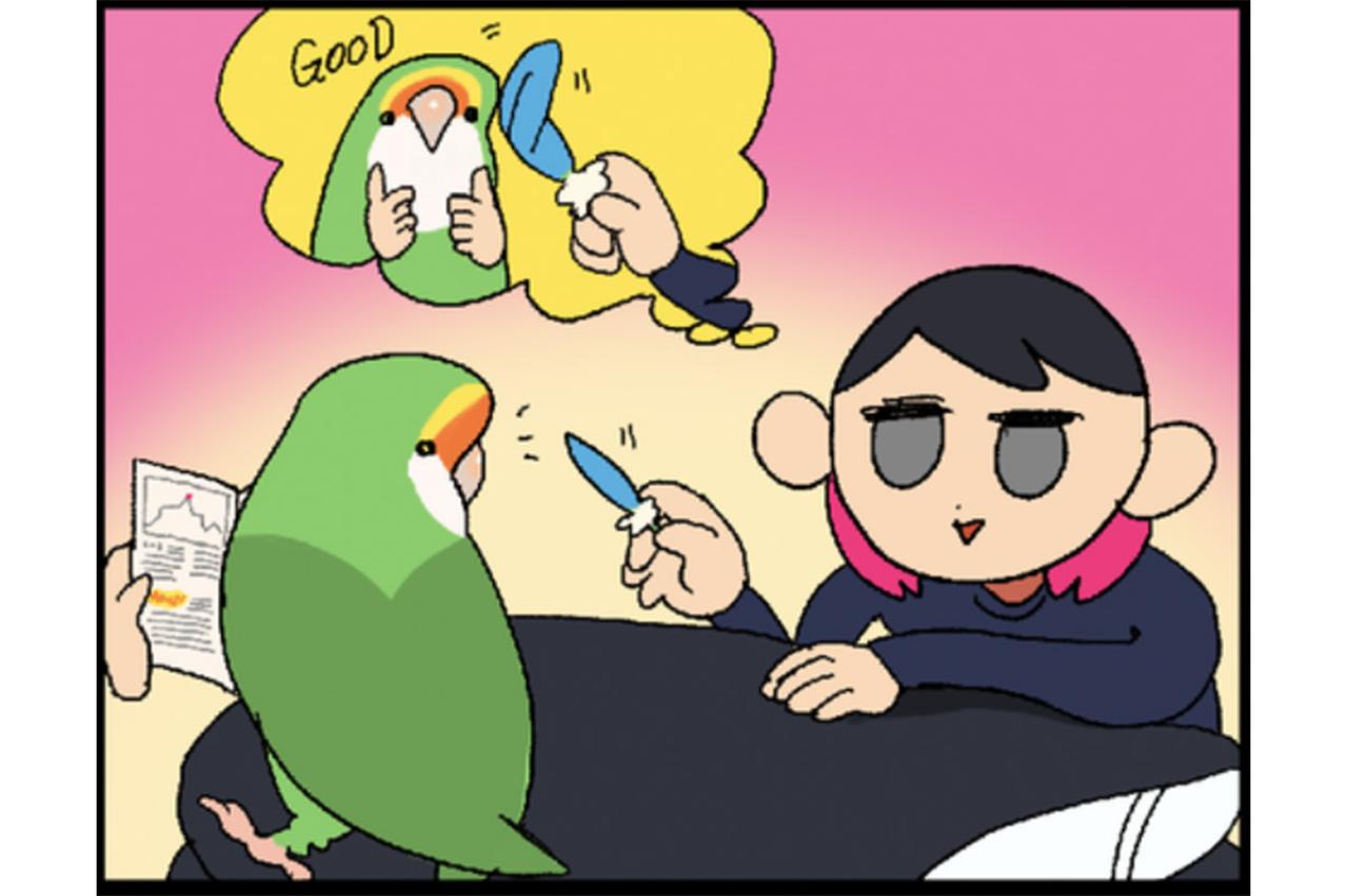 【鳥マンガ＃34】女帝インコ、意外とどんくさくて怖がり…（でも愛おしい）